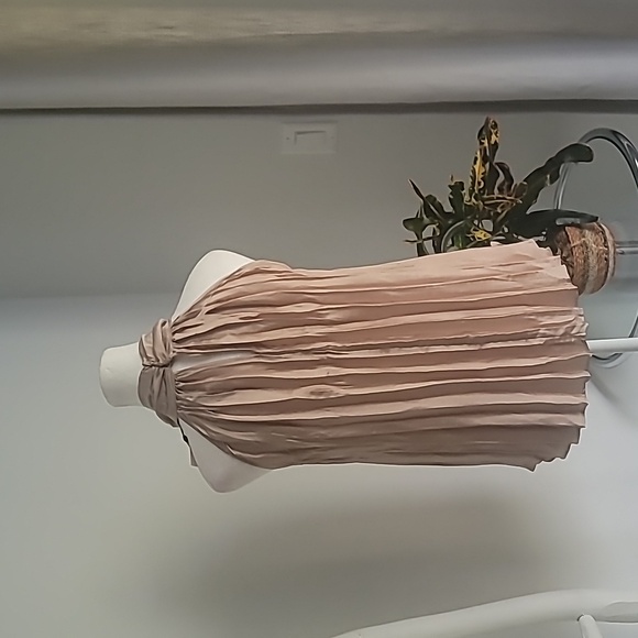 NWT ZARA PLEATED BLUSH SLEEVELESS TOP W/CHAIN LINK DETAIL - Picture 3 of 11